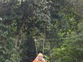 Tn DSC 4278